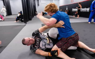 Knowing the Levels of Pro MMA Training